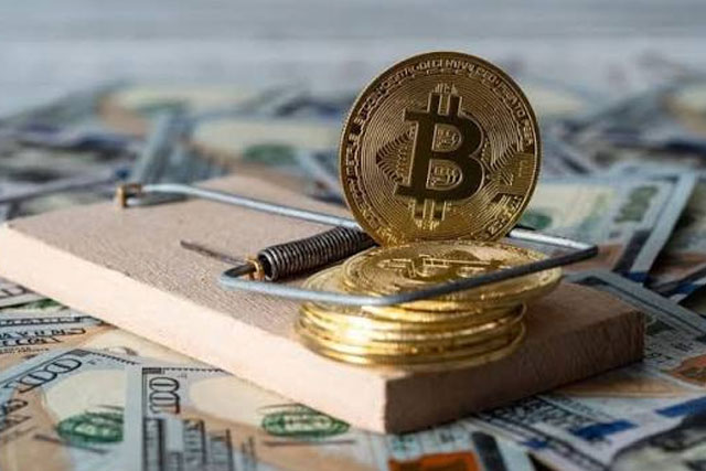 Crypto Fraud Case